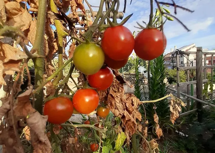 別荘 De Luna ラ・オロタバ