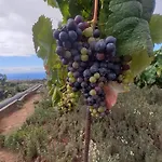 De Luna La Orotava