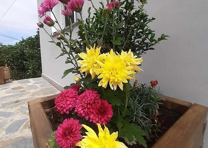 De Luna Сasa de vacaciones *