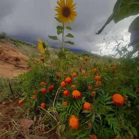 別荘 De Luna ラ・オロタバ