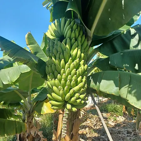 De Luna 別荘 ラ・オロタバ