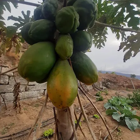 Holiday home De Luna La Orotava