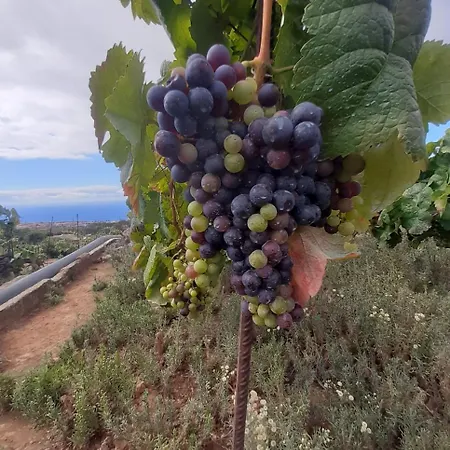 De Luna ラ・オロタバ