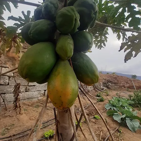 Holiday home De Luna La Orotava