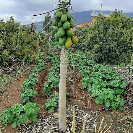 Holiday home De Luna