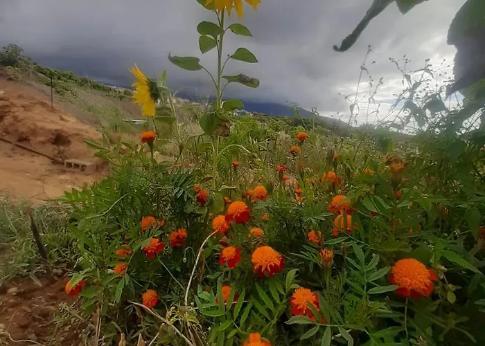 Ferienhaus De Luna La Orotava