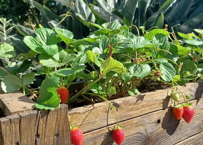 De Luna Holiday home